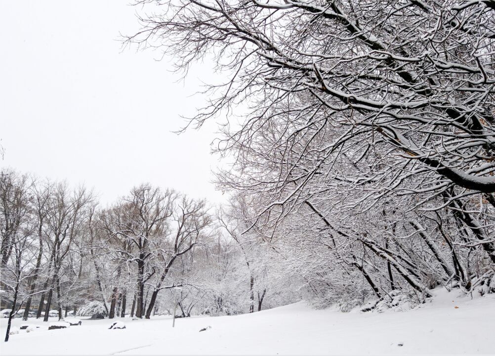 1987: Warm, but with heavy storms in the Mid-Atlantic